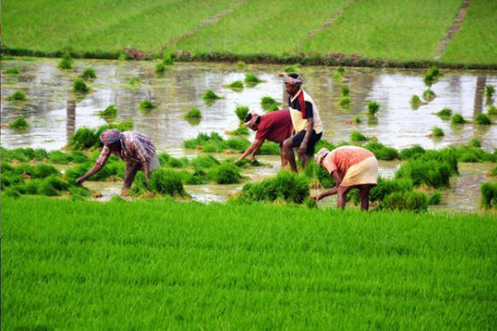 BANASKANTHA - NEWSCAPITAL